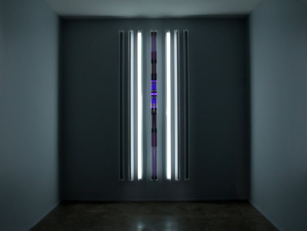 Robert Irwin - Zephyr, 2020