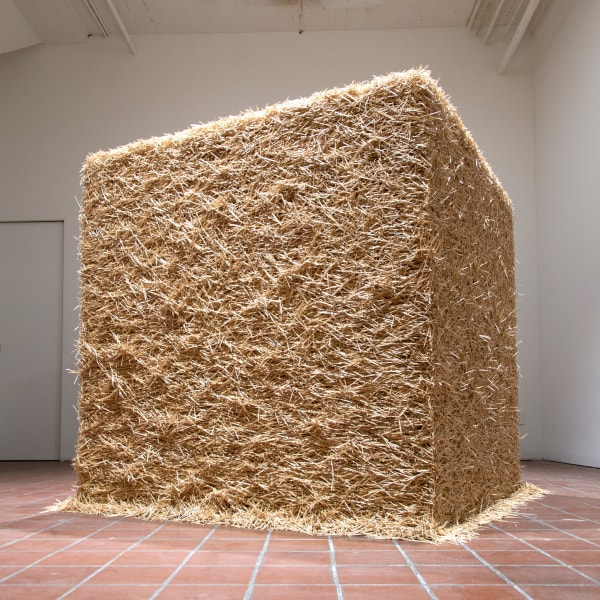 Untitled (Toothpicks), is an installation made of thousands of toothpicks by Tara Donovan at Quint Gallery.