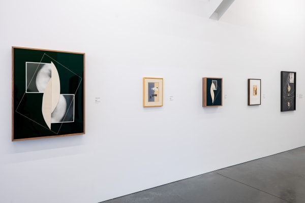 Sheree Hovsepian | Parrish Art Museum