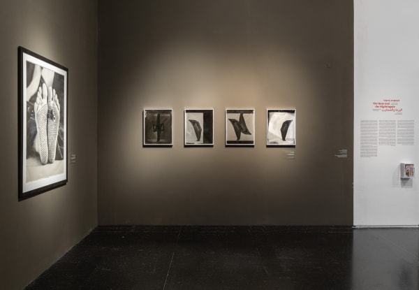 Sheree Hovsepian | Israel Museum