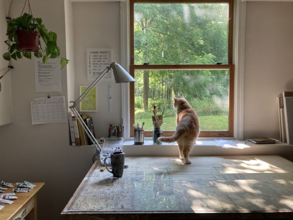 “My cat, Hoagie, watching the chickadees.”