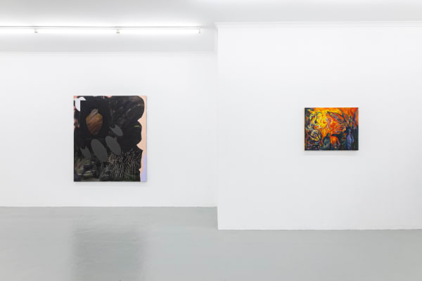 Coma Gallery, 'So Red It Looks Black', installation view