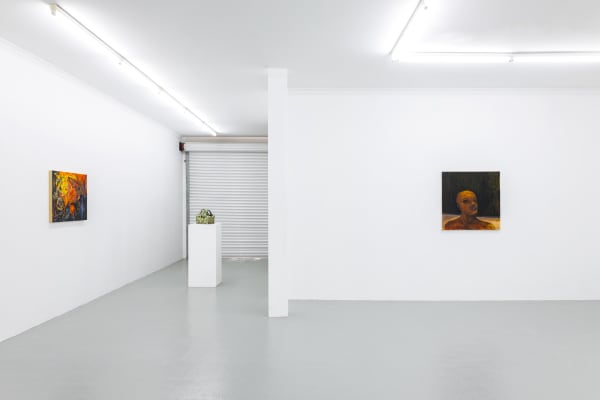 Coma Gallery, 'So Red It Looks Black', installation view