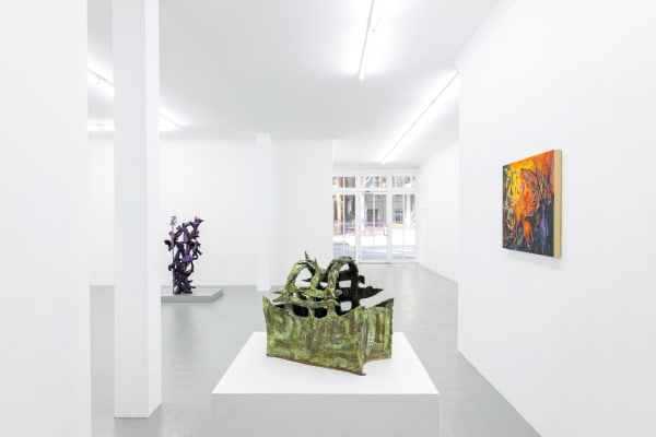 Coma Gallery, 'So Red It Looks Black', installation view