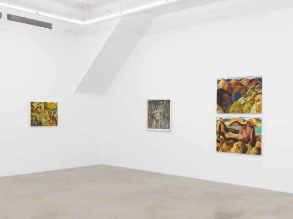 Installation View, Arcadia and Elsewhere. Courtesy James Cohan, New York. Photo by Dan Bradica