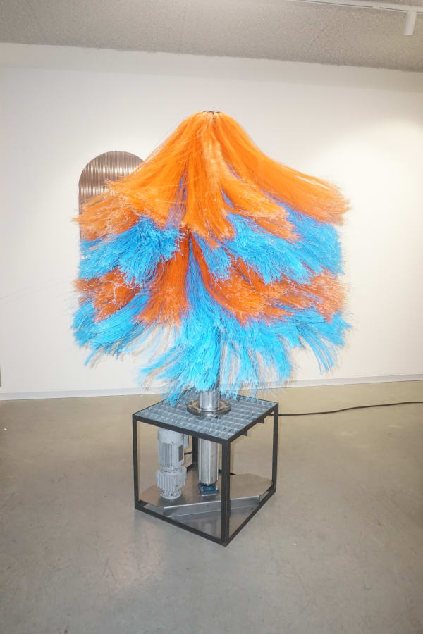 Thordur Hans - Wish-Wash