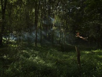 Toby Burrows, Watching (Medium), 2010