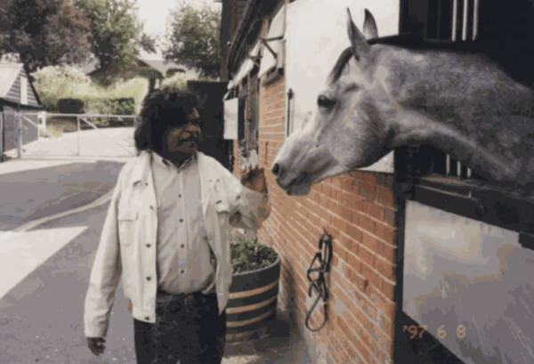 Clifford Possum meeting Queen Elizabeth II's racehorse