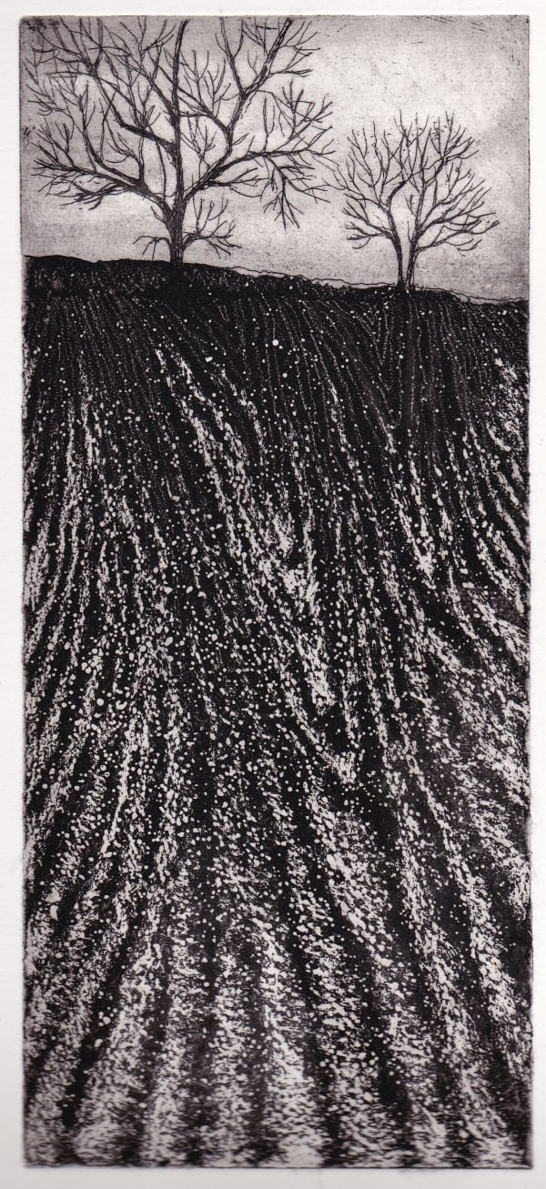 winter-field.jpg