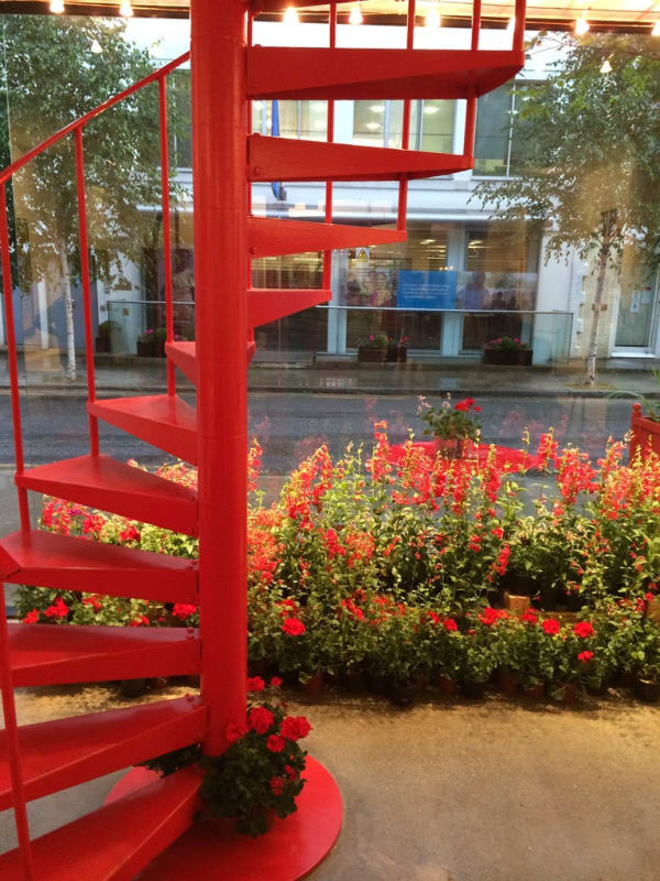 Red flowers in the Rebecca Hossack Art Gallery