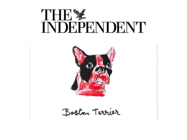 Get Your Canine on Canvas