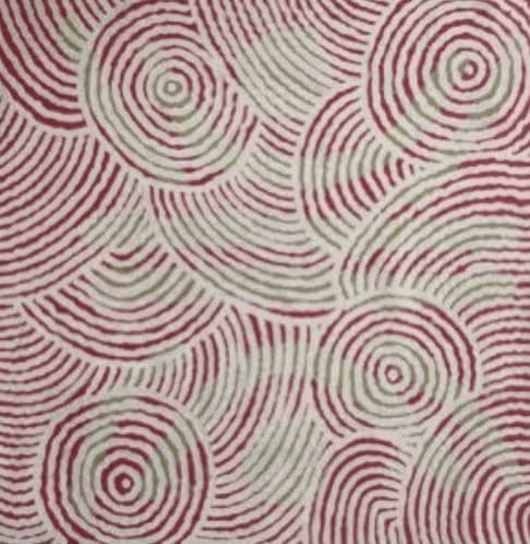 Papunya Tula - Paintings of the Dreaming