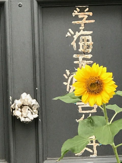 Fitzrovia Brings a Village Spirit to the Heart of Zone One