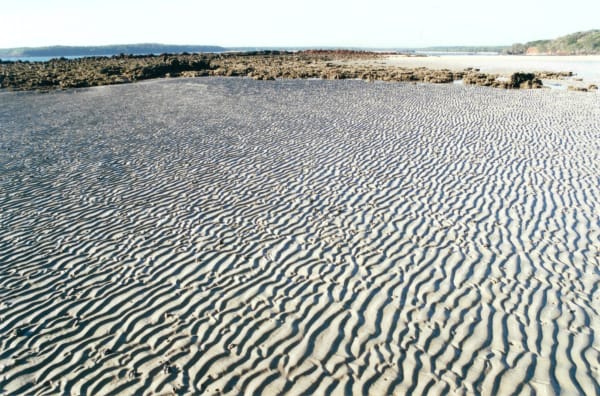 Rebecca's trip to Yirrkala, Arnhem Land in 1998