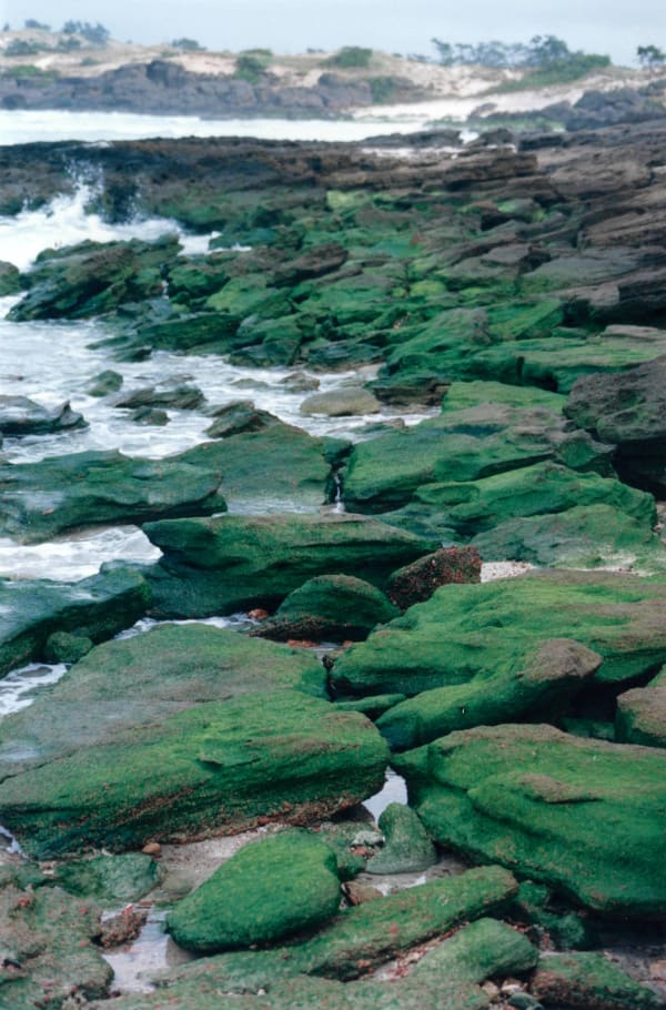 Rebecca's trip to Yirrkala, Arnhem Land in 1998