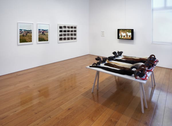 , arial, helvetica, sans-serif; font-size: 11px; color: #000000; line-height: 13px; height: auto; width: auto; border: none;">Rose ENGLISH , arial, helvetica, sans-serif; font-size: 11px; color: #000000; line-height: 13px; height: auto; width: auto; border: none;">QuadrilleĀ (1975/2012)