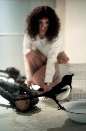 , arial, helvetica; font-size: 11px; line-height: 14px;">Rose FINN-KELCEY, arial, helvetica; font-size: 11px; line-height: 14px;" />, arial, helvetica; font-size: 11px; line-height: 14px;">One for Sorrow, Two for Joy, arial, helvetica; font-size: 11px; line-height: 14px;">, 1976/2012, arial, helvetica; font-size: 11px; line-height: 14px;" />