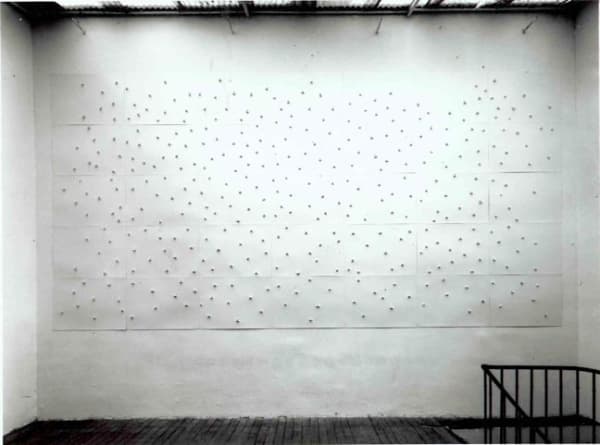 Giuseppe Penone Unghiate, 1989