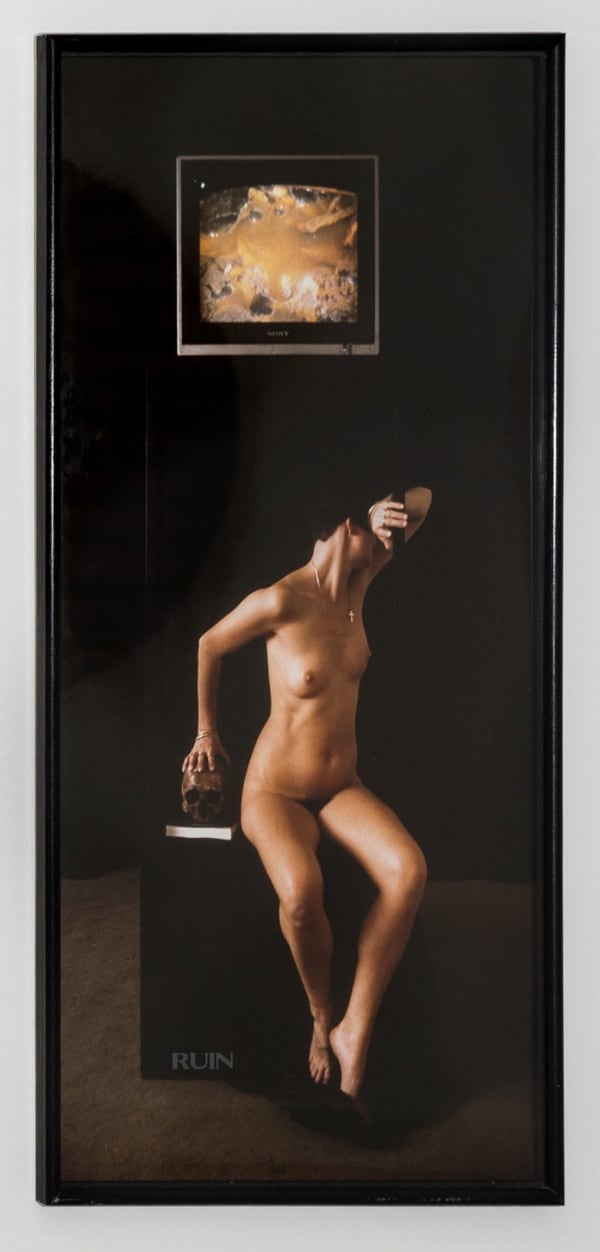 Helen CHADWICK Ruin, 1986