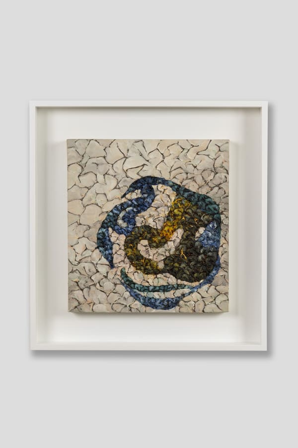 Rosa Lee, Elision, 2000
