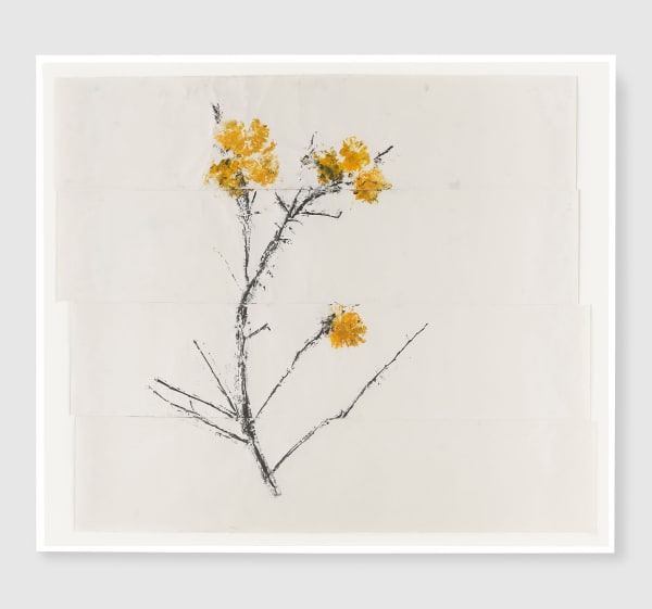 Simryn Gill, Persimmon Suite 5, 2020/2021