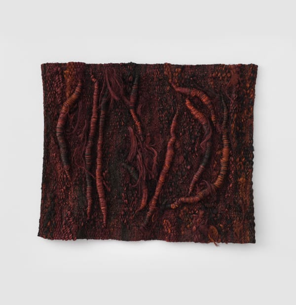 Magdalena Abakanowicz, Relief sombre de Stefa [Dark relief of Stefa], 1975