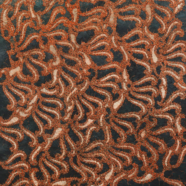 Haptic Vision Rosa LEE and Jo BRUTON