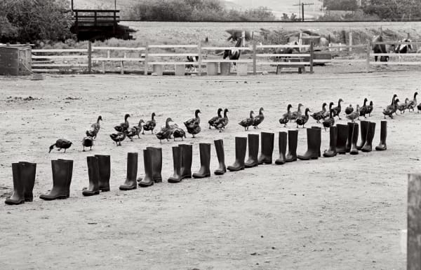 Eleanor Antin