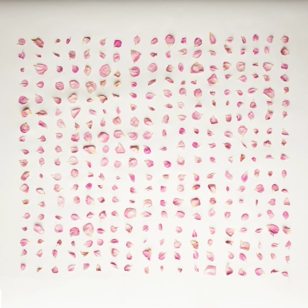 Wilma Woolf, I Collected You Carefully, 2019. Copyright The Artist.
