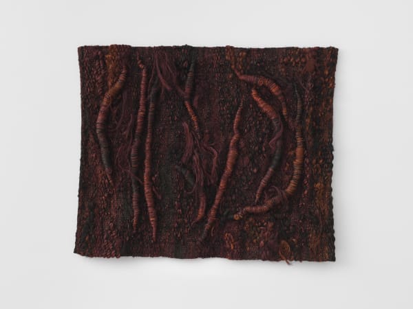 Magdalena Abakanowicz, Relief sombre de Stefa [Dark relief of Stefa], 1975