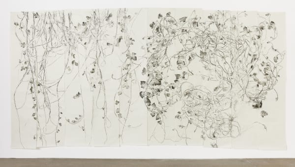 Simryn Gill, Thistle and Friends. Morning Glory, 2024