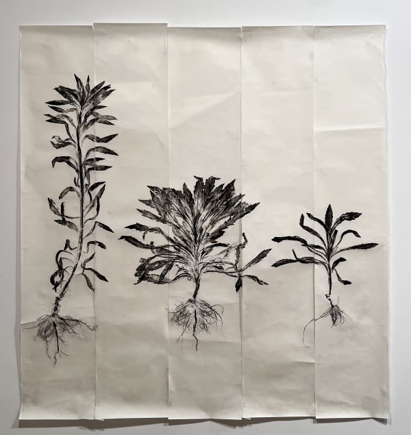 Simryn GILL, Weeds Suite 4, 2020/2021