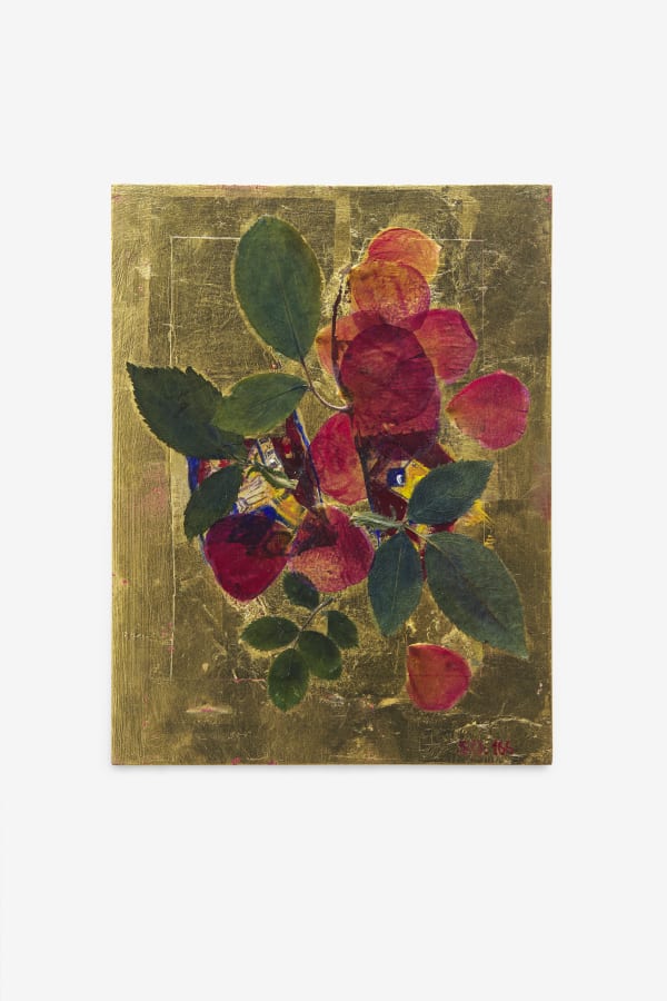 Ria Verhaeghe, Vertical 50.166, 2020-23
