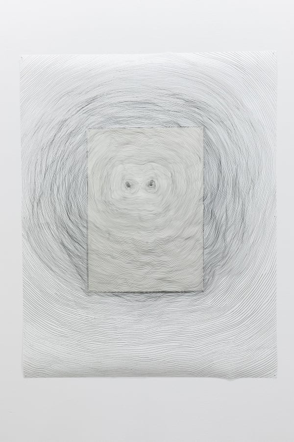 Giuseppe Penone, Propagazione, 1997