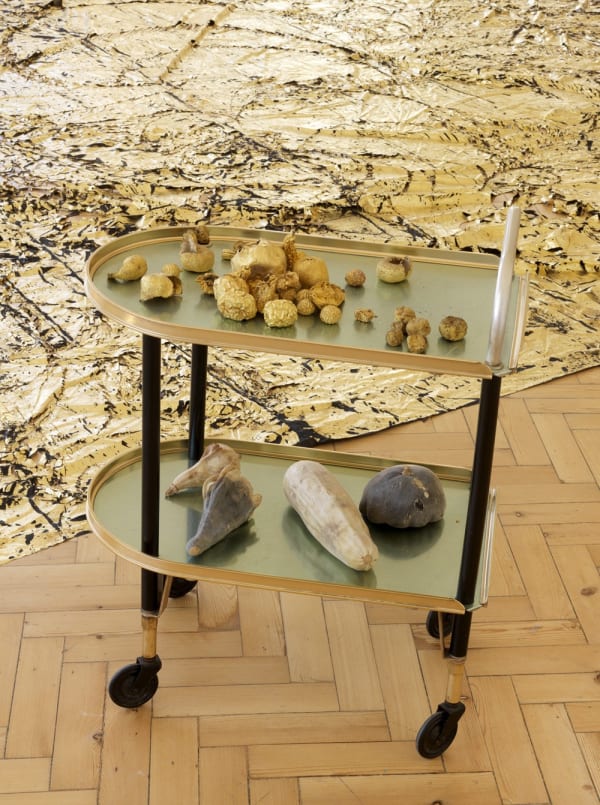 Shelagh Wakely, Beyond Consumption, 1996