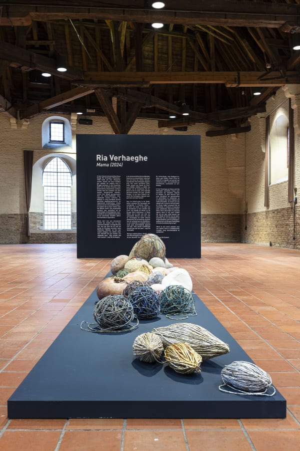 Installation View, SANT2024, Cultuurcentrum Brugge, Bruges, 2024