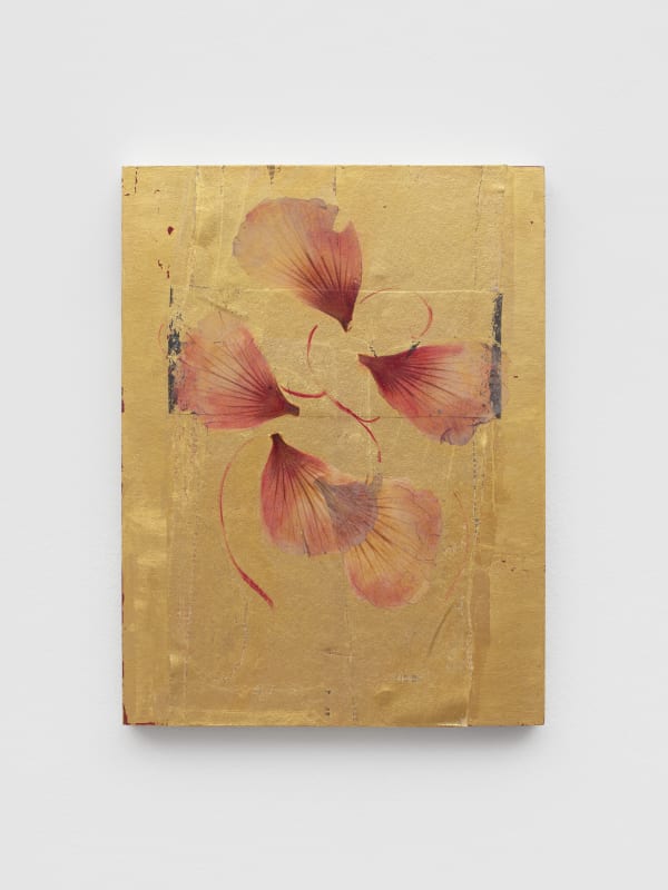 Ria Verhaeghe, Hibiscus Syriacus 4, 2017