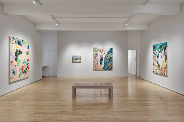 Tim Braden | I can see all the colours now