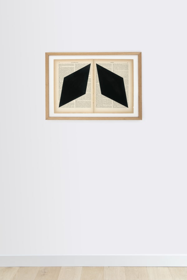 Marinda Vandenheede Pars Pro Toto - Accession II, 2021