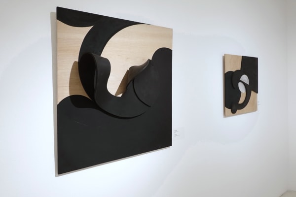 Saša Pančiċ Exhibition: Semantic Shadows On view now through January 23, 2026