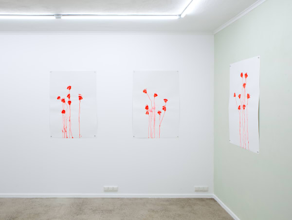 Mireille Gros, Instinktverstärkungselixiergarten | Planetary Plants Series: Ronewa Art Projects, Berlin.