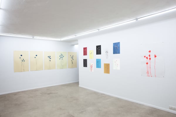 Mireille Gros, Instinktverstärkungselixiergarten | Planetary Plants Series: Ronewa Art Projects, Berlin.