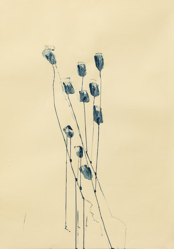 Mireille Gros Instinktverstärkungselixiergarten Planetary Plants (Series)