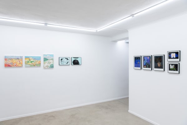 Installation view: Group exhibition, "Nature's Renewal", Ronewa Art Projects (Berlin) and O Gallery (Tehran), Courtesy: Ronewa Art Projects, Berlin, 2024. Photo: Jeremy Knowles.