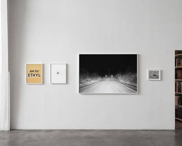 Patterson Rose 2013 006