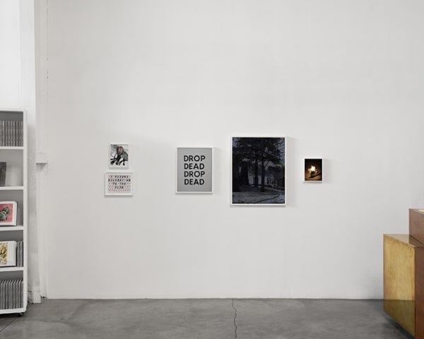 Patterson Rose 2013 007