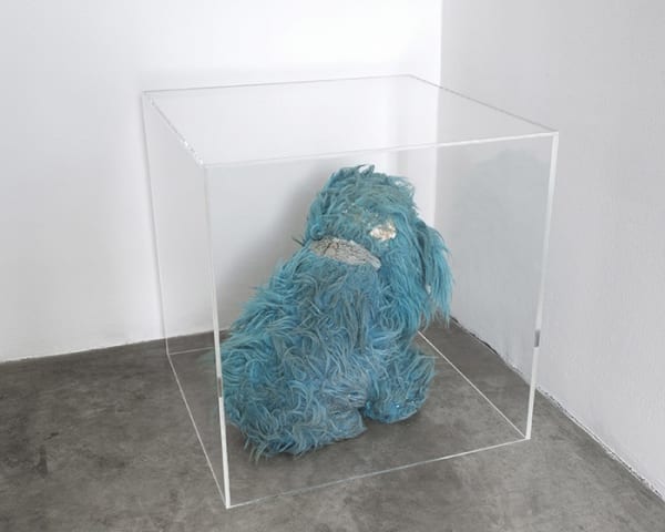 Patterson Rose 2013 016