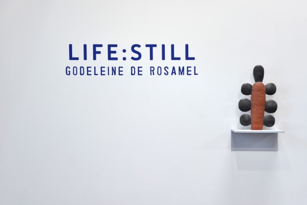 GODELEINE DE ROSAMEL, LIFE: STILL, 2022, INSTALLATION IMAGE.