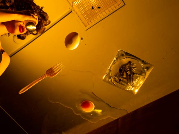 Break in Case of Emergency (Flies, Forks, and Fires) an exhibition by Tania Franco Klein