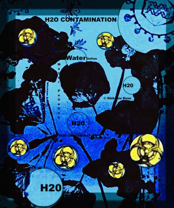 Shibanie Rose, Water Contamination, 2023